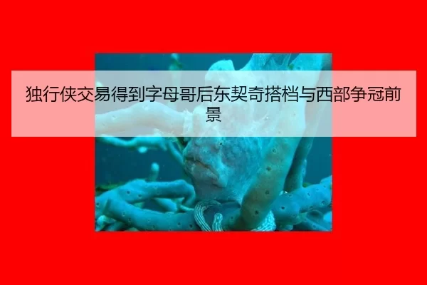 du-xing-xia-jiao-yi-de-dao-zi-mu-ge-hou-dong-qi-qi-da-dang-yu-xi-bu-zheng-guan-qian-jing-2-716.jpg